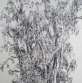 Figures1